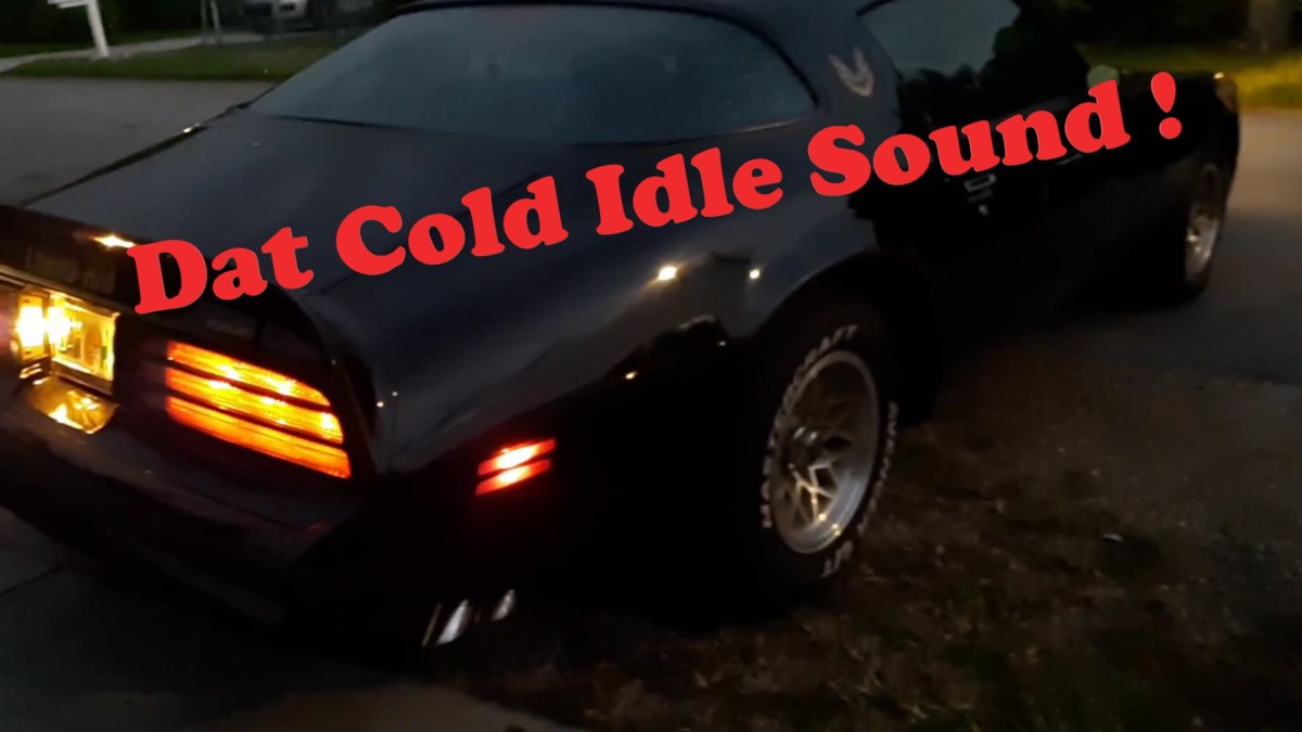 1976 Trans Am Cold Idle Video